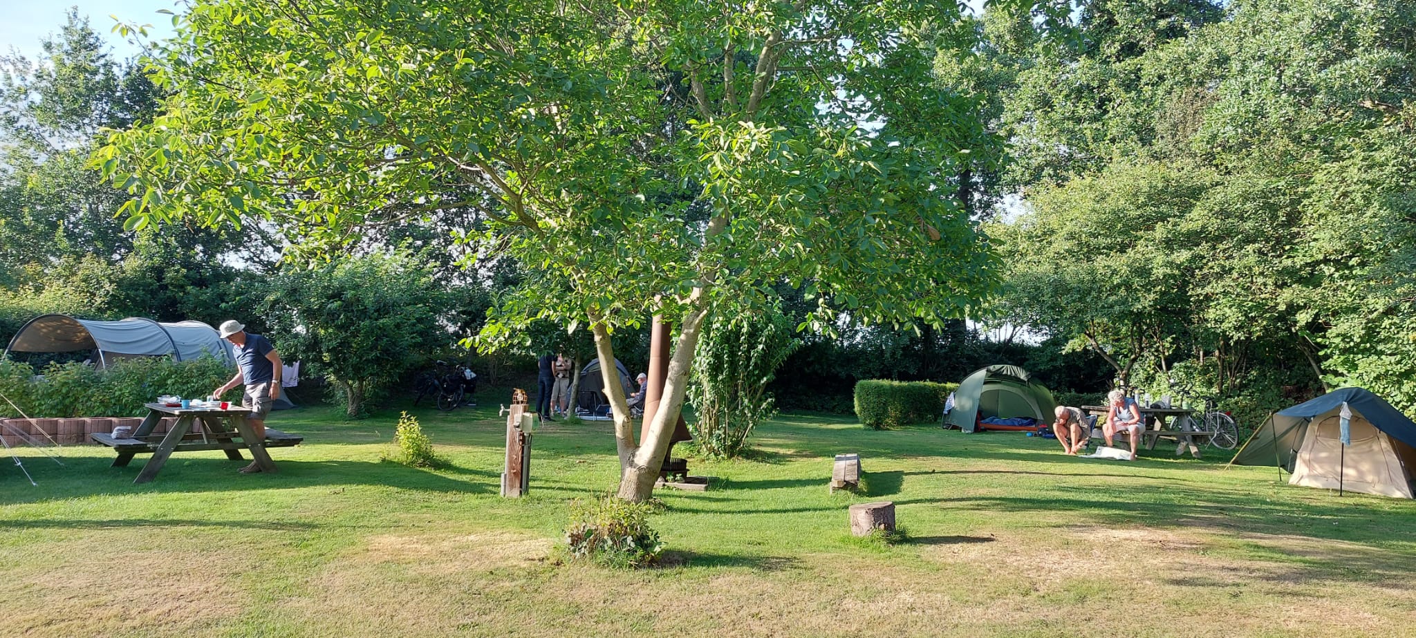 natuurkampeerterrein kampeerterrein camping buitenwedde westerwolde tent groningen